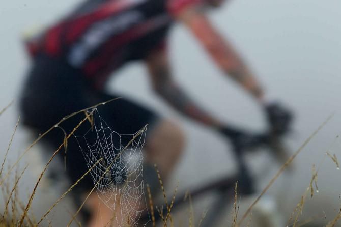 A spiderweb en route