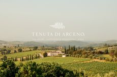 View over vineyards with a large winery building in the distance surrounded by pine trees