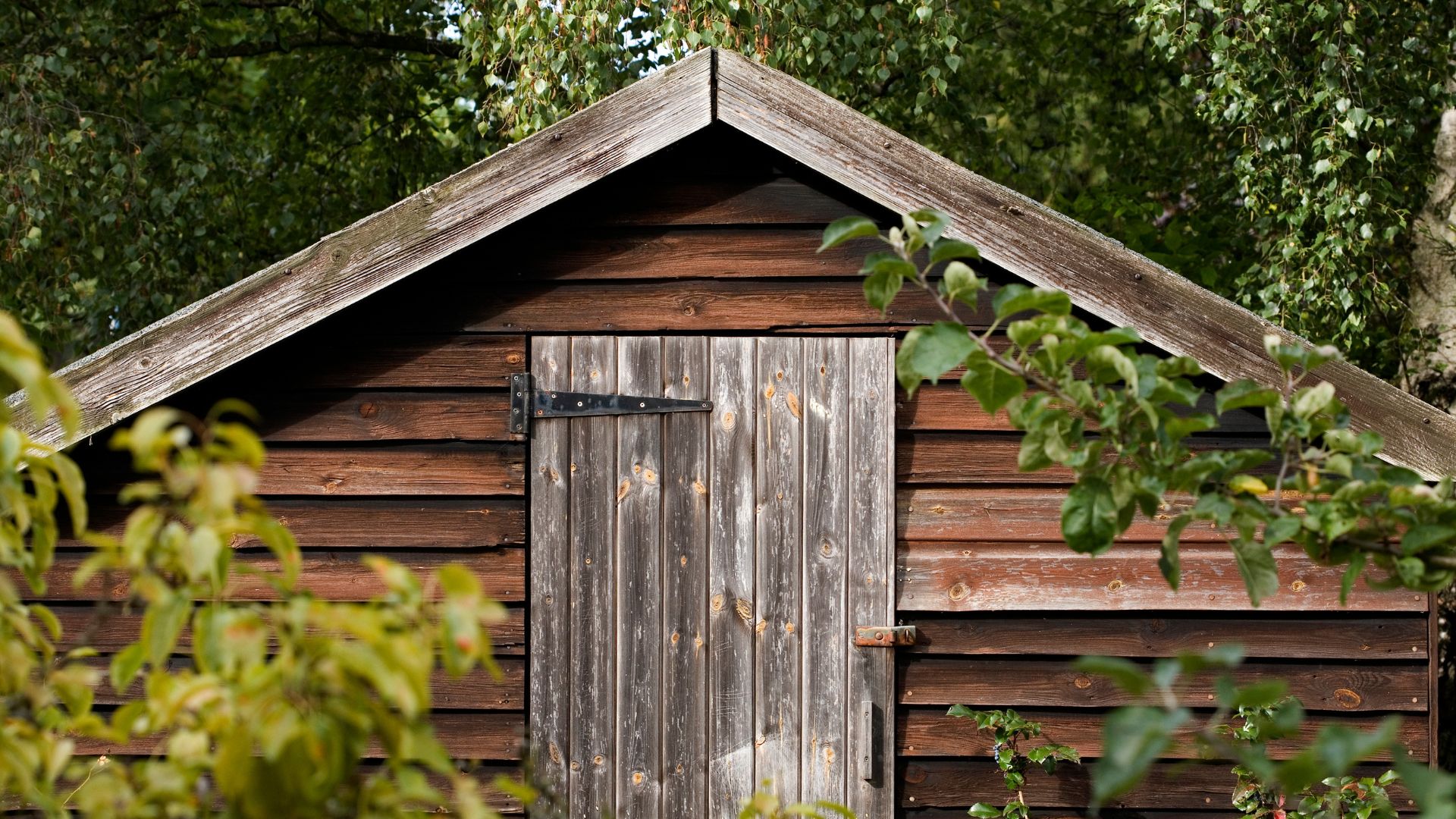 picture of large wooden shed in garden