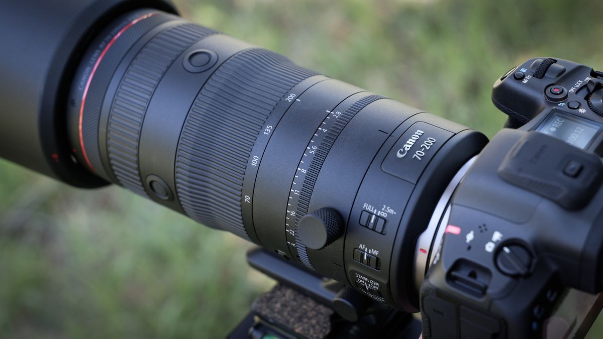 Canon RF 70-200mm f/2.8L IS USM Z mounted to a camera in a grassy outdoor setting