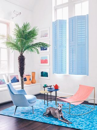 A living room with an ice blue painted shutter and blue carpet