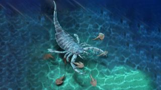 Dog-sized scorpion once roamed the waters off prehistoric China