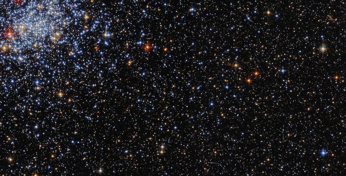 Faraway blue star cluster shines in Hubble Space Telescope photo