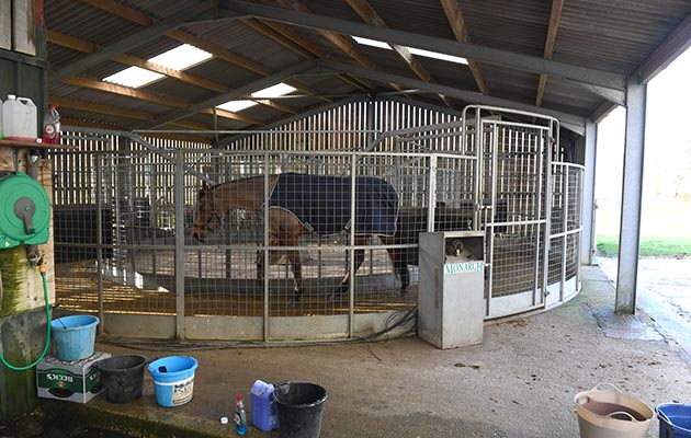 Cranford Stud Eventing 26 01 2018