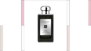 Jo Malone London Myrrh & Tonka Cologne Intense with colored columns either side