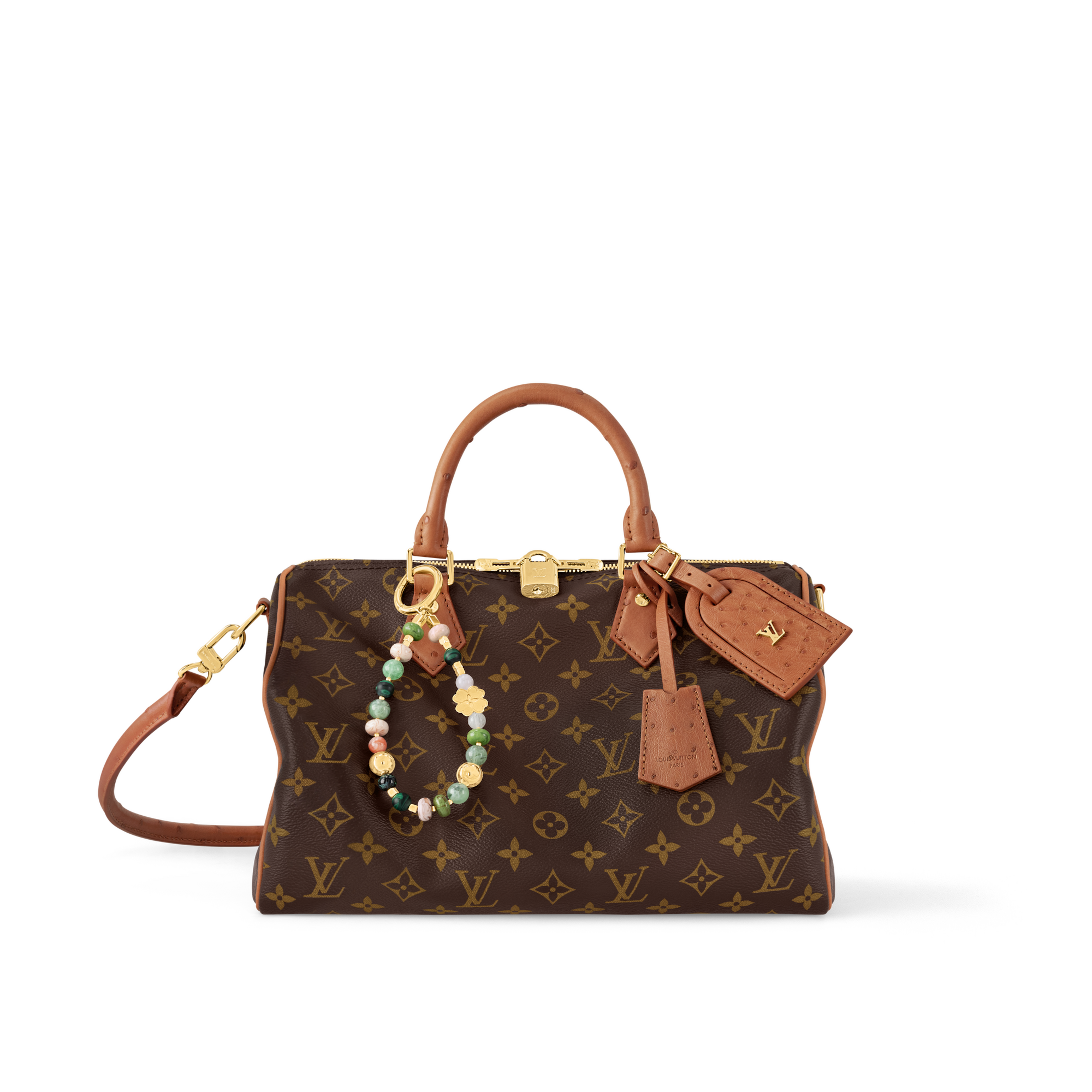 louis vuitton speedy leather bag