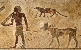 This ancient drawing on the wall of a tomb at Beni Hassan in Egypt shows a hunter holding the leashes of a dog (bottom) and an Egyptian mongoose (top).