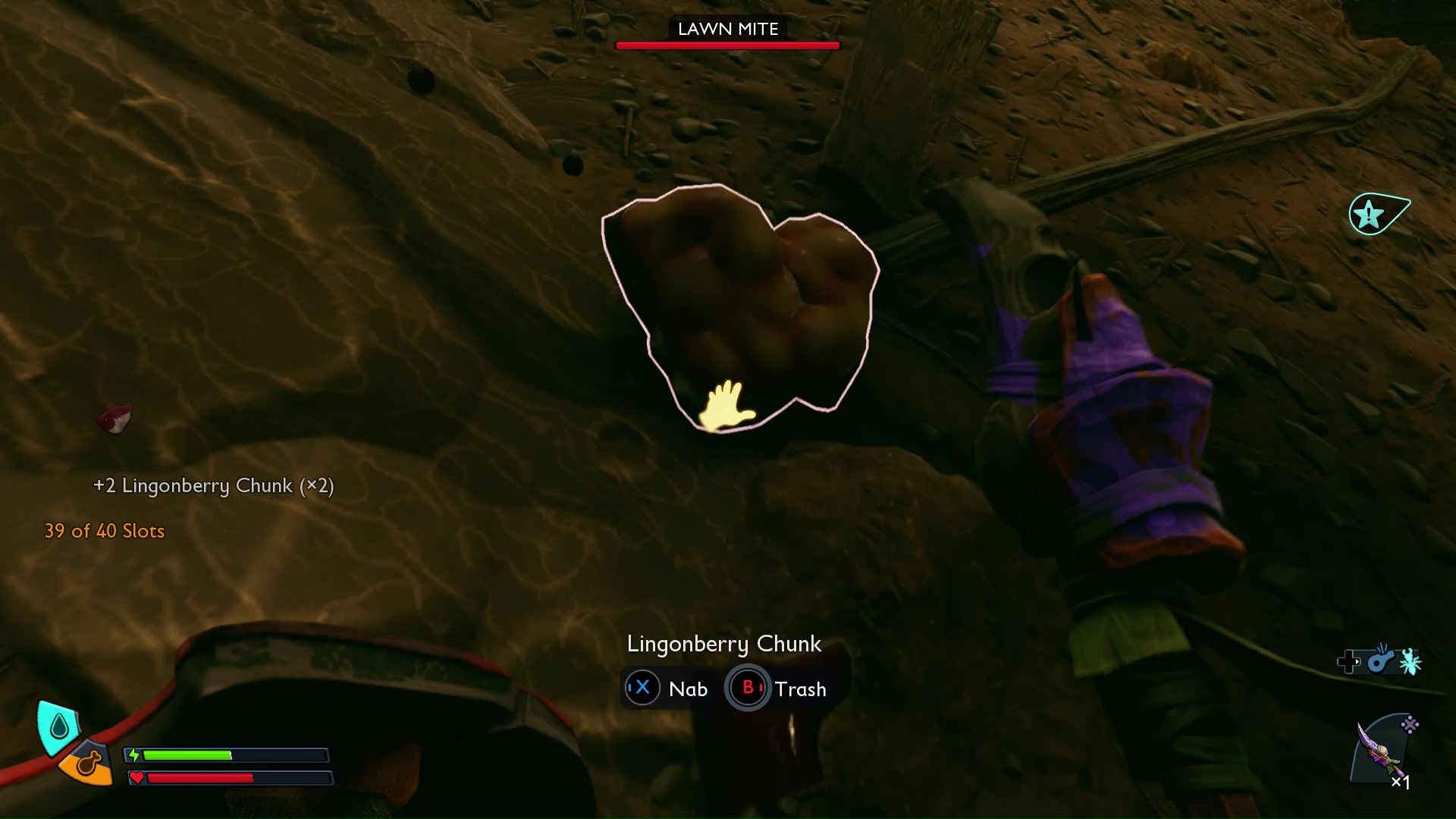 A Lingonberry Chunk in Grounded 2