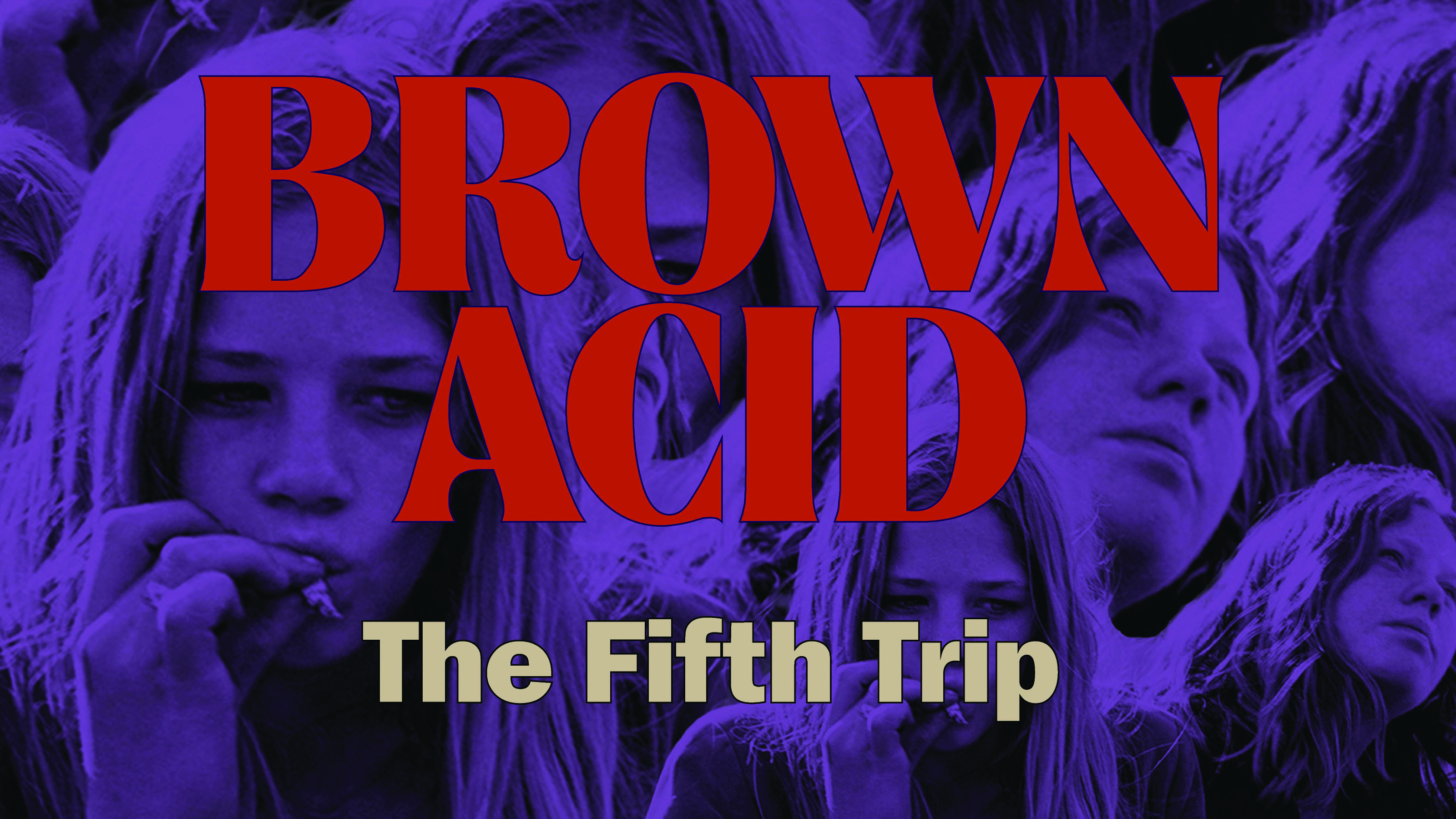 Cover art for Various Artists - Brown Acid: The Fifth Trip album