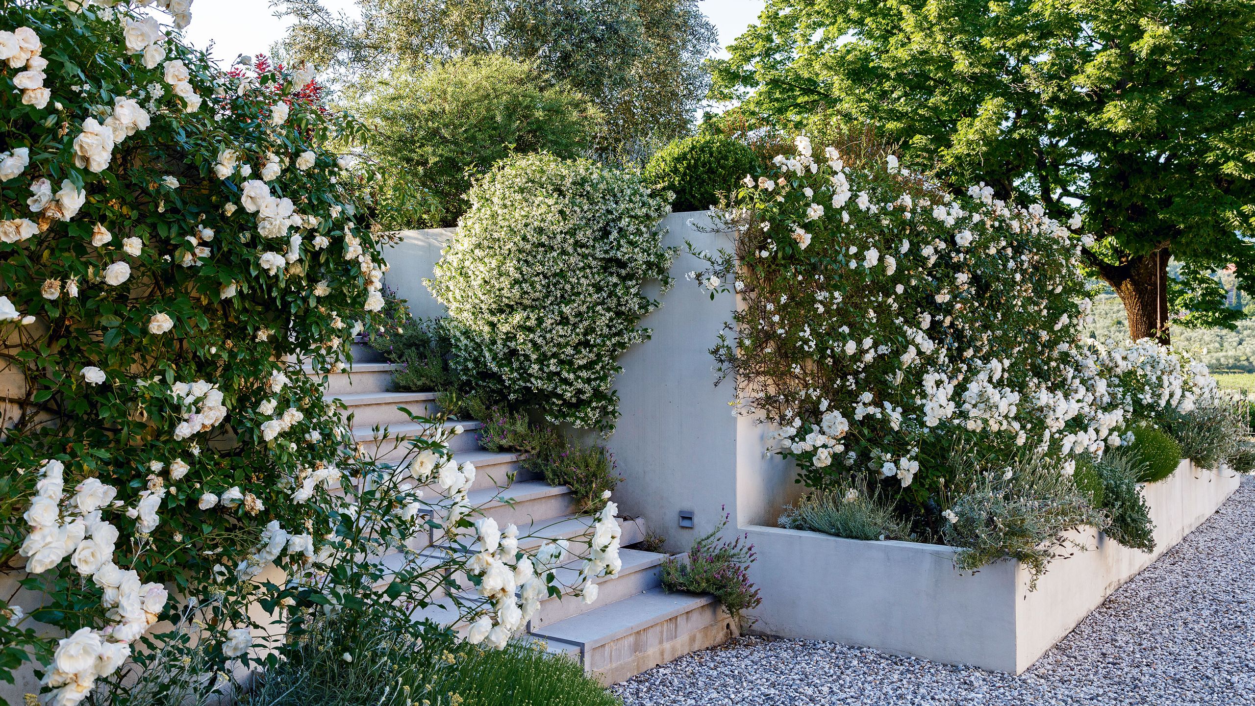 Costco's New Raised Bed Planter Looks Straight Out of a Nancy Meyers Movie – and...