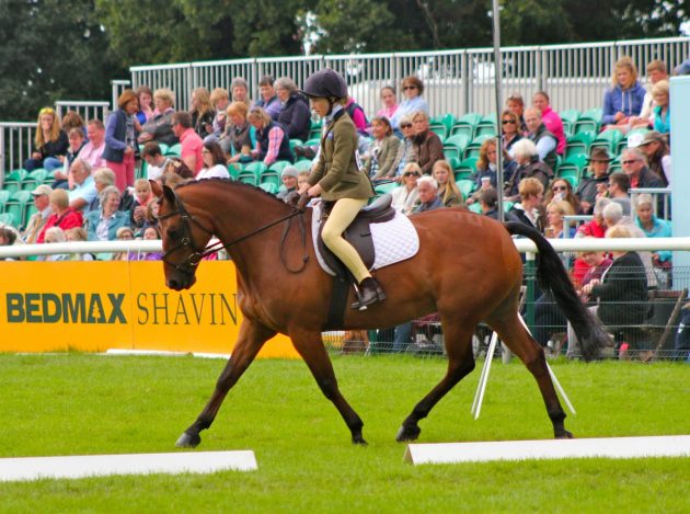 Susie Eddis Noble Sir Prize at Burghley