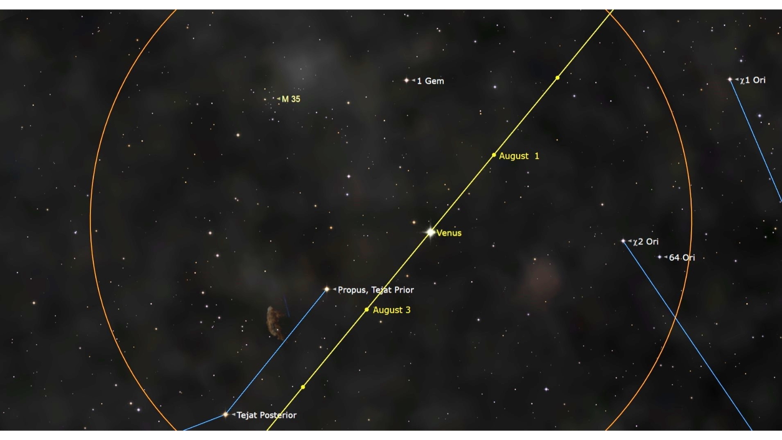A night sky map showing Venus shining close to the shoe-buckle cluster in the early hours. The yellow line shows the position of Venus in early August.