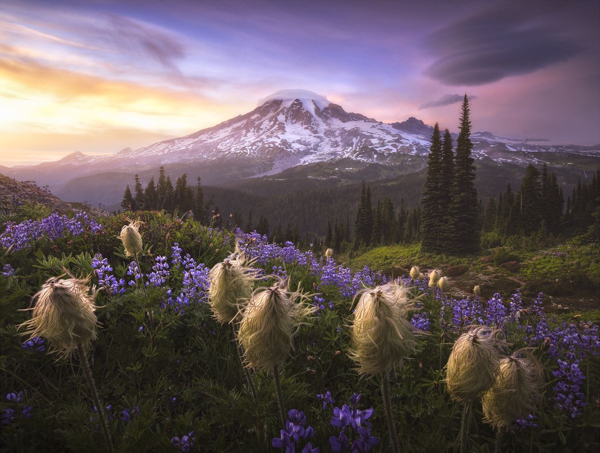 The International Landscape Photographer of the Year 2020 - Second Place Joshua Snow, USA