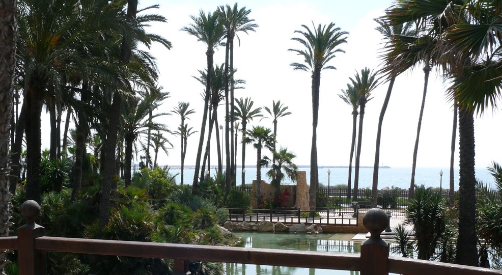 El Palmeral