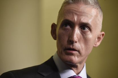 Trey Gowdy