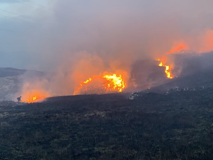Scottish Gamekeepers Association share a photo of a wildfire burning in Scottish Highlands in Jun 2025