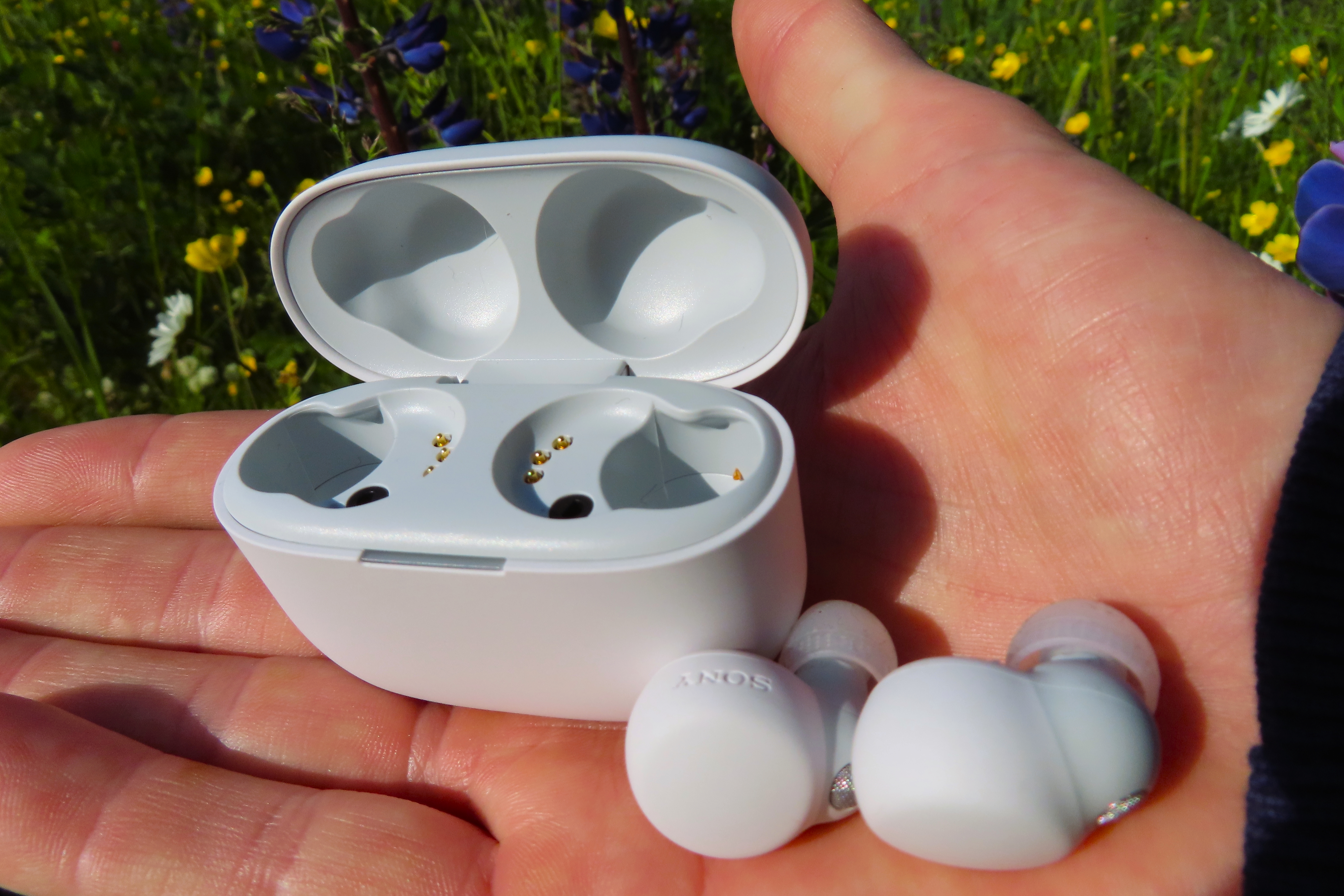 Ett par vita Sony LinkBuds S ligger bredvit sitt tillhörande laddningsfodral i en öppen handflata, med en blomsteräng i bakgrunden.