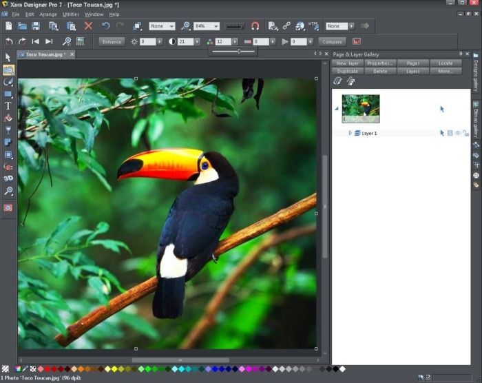 This image of Xara shows alterations to your photo with this photo manager software. You can increase the saturation, brightness and colors. You can click on the Compare button to see how the new changes look compared to the original image.