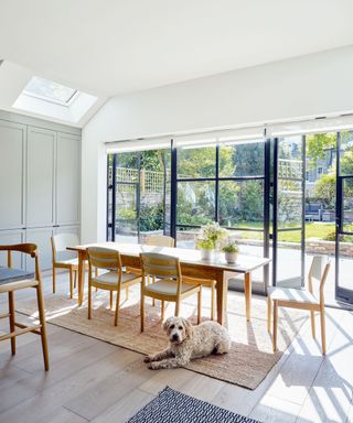 dining area with crittall doors and dog