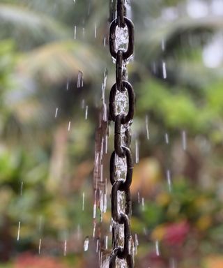 A black metal chain with droplets cascading from it, with green trees and plants behind it