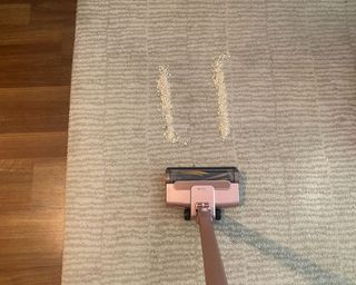 Shark Wandvac on rug with porridge oats for testing