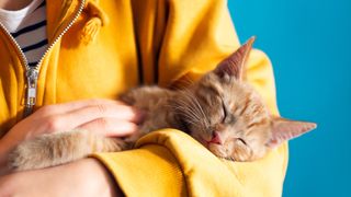 woman holding a ginger cat