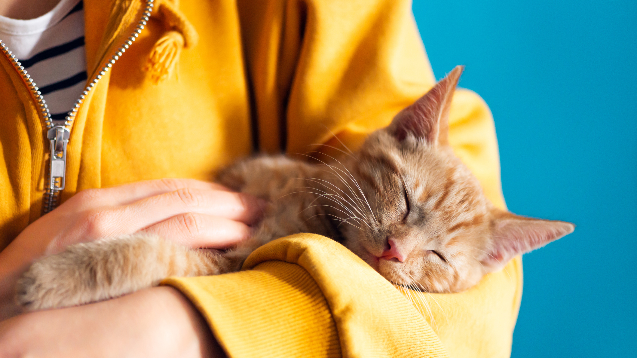 woman holding a ginger cat