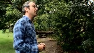 Mike Watt looking up into a tree in We Jam Econo