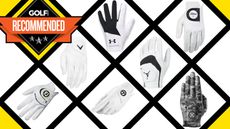 An array of different golf gloves in a grid format