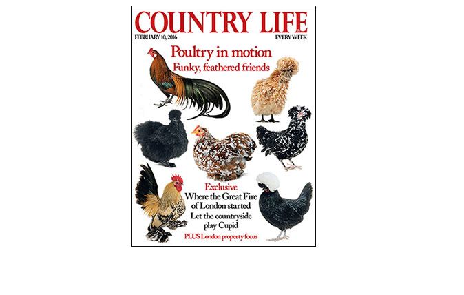 country life ABC increase