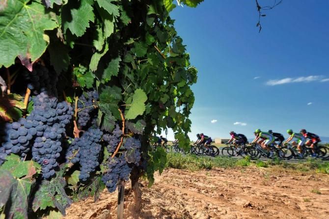 The race passed through prime wine growing areas tofay