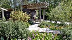 A show garden with shrubs and primulas alongside a wooden walkway and a large pergola with a dining set