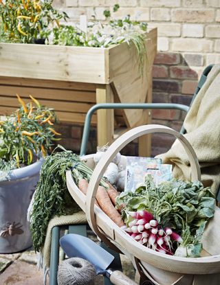trug filled with freshly picked vegetables