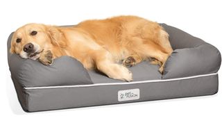 PetFusion Ultimate Lounge luxury dog bed