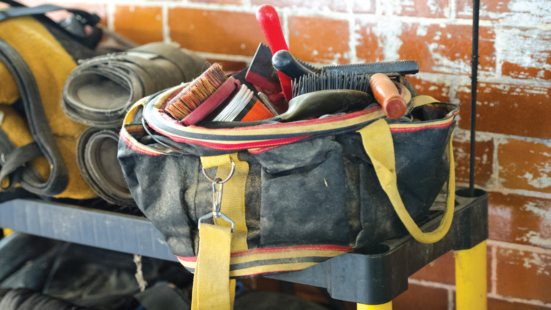 8 grooming kits and brush sets to cover all bases