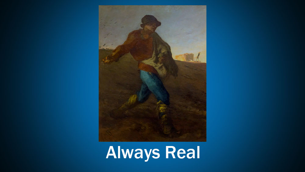 ACNH paintings: THE SOWER BY JEAN-FRANÇOIS MILLET