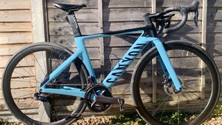 Side on view of a sky blue and black Canyon aero road bike against a garden fence