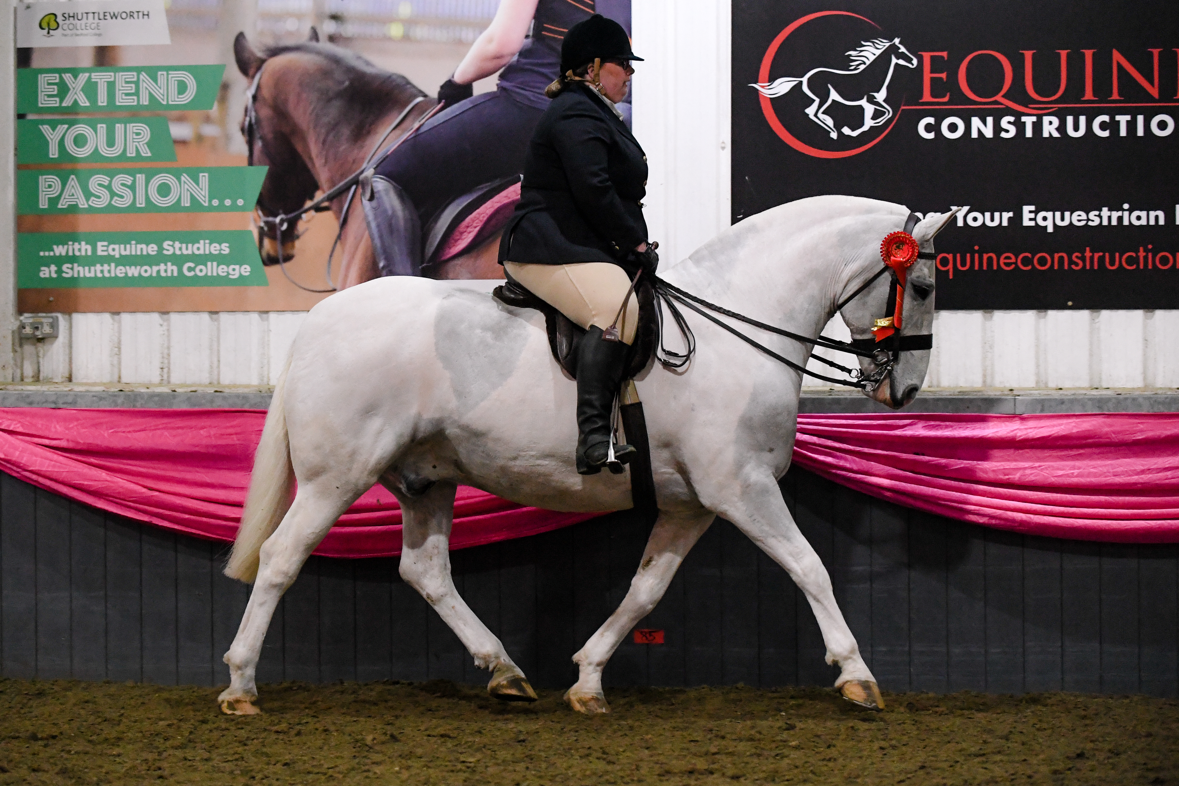openhorsechamp