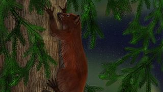 Here we see an illustration of a brown squirrel-like primate climbing a tree with an aurora in the background.