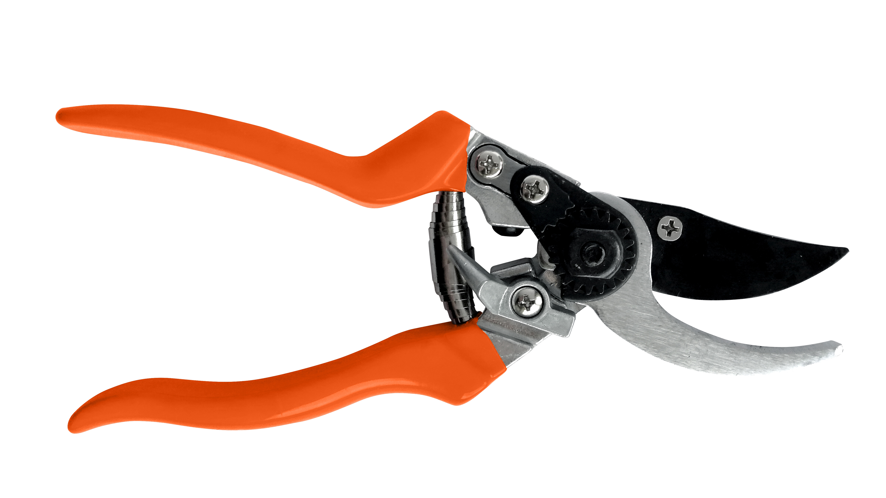 7 Best Secateurs: Top Buys To Help You Keep Your Garden Tidy | Gardeningetc