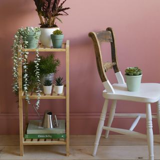 painted chair and wooden storage against pink wall, and plants