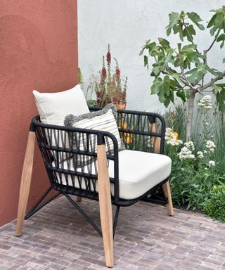fig tree in courtyard with chair