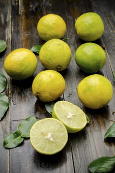 yellow limes