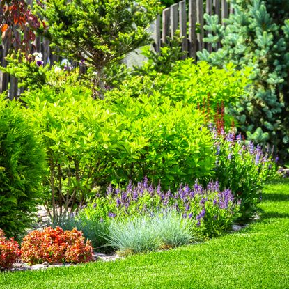neatly landscaped garden bed and lawn