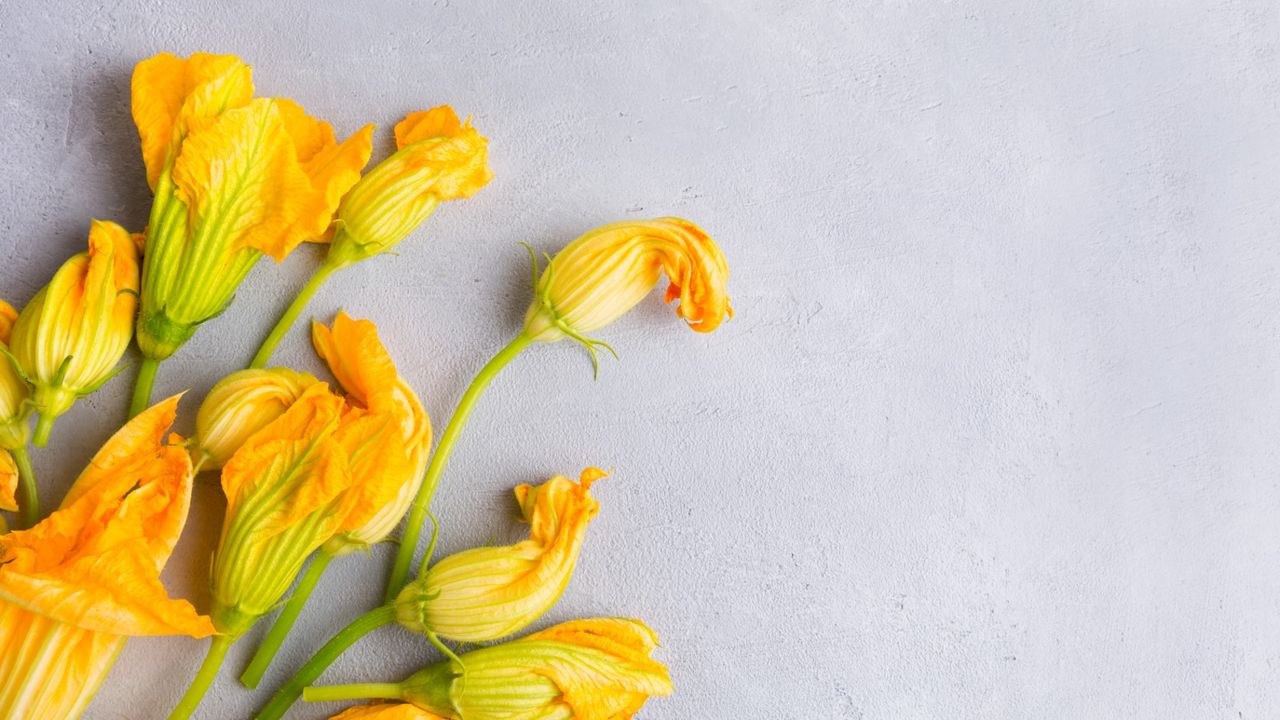 Zucchini flowers laid out