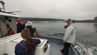 Four photographers at the back of a boat in Alaska using telephoto lenses to find wildlife on a cloudy day