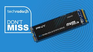 1TB PNY CS2241 SSD