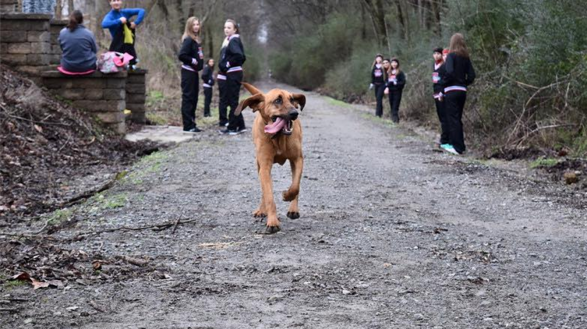 running