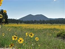 sunset crater, volcano