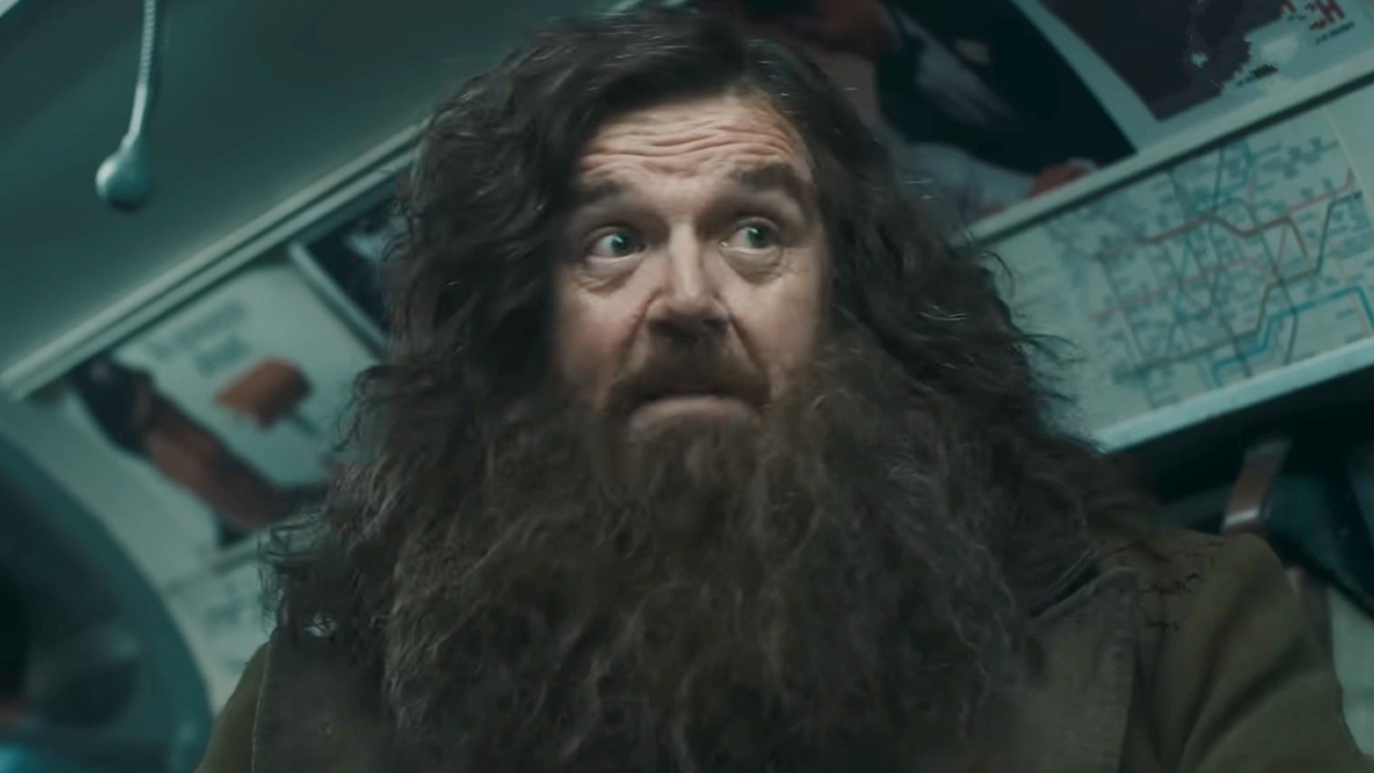 Nick Frost Knows Some Harry Potter Fans Won't Like His Hagrid